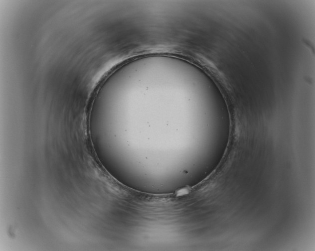 X0000103281174200809121938