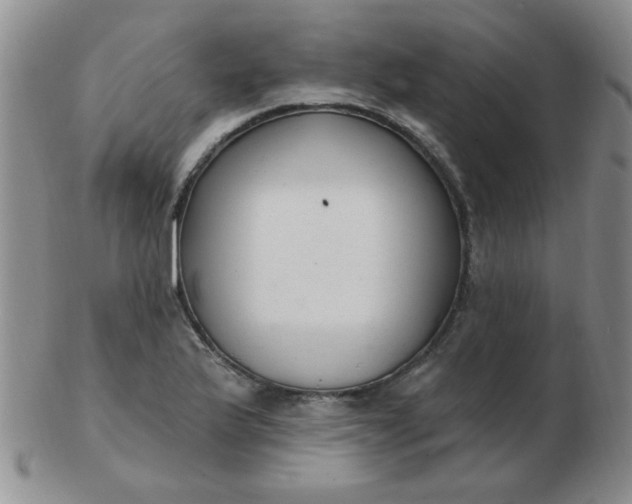 X0000103281175200809121938