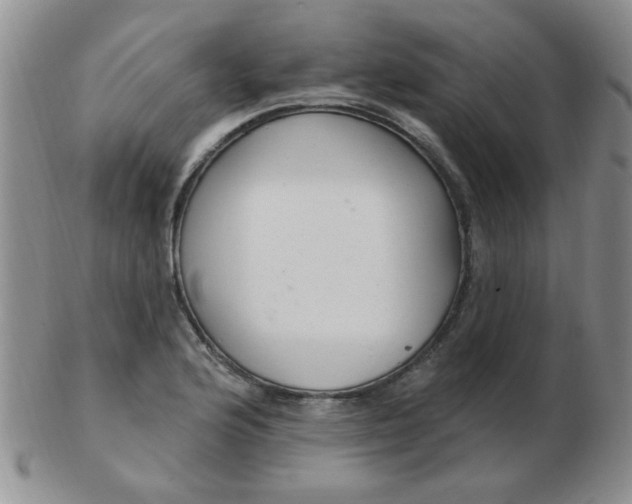 X0000103281176200809121938