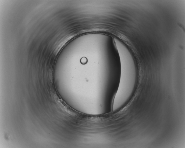 X0000103281177200809121938