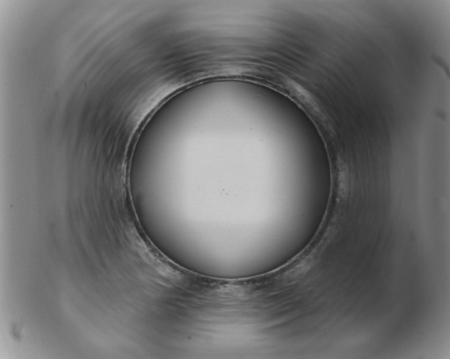 X0000103281178200809121938