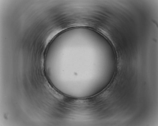 X0000103281179200809121938