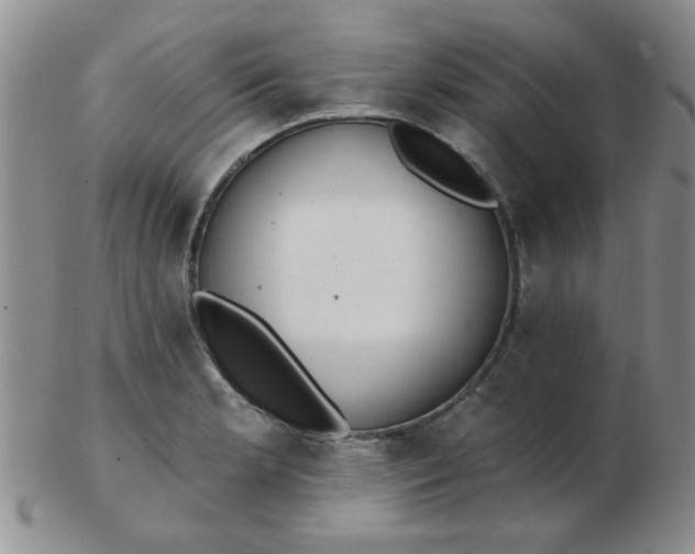 X0000103281181200809121938