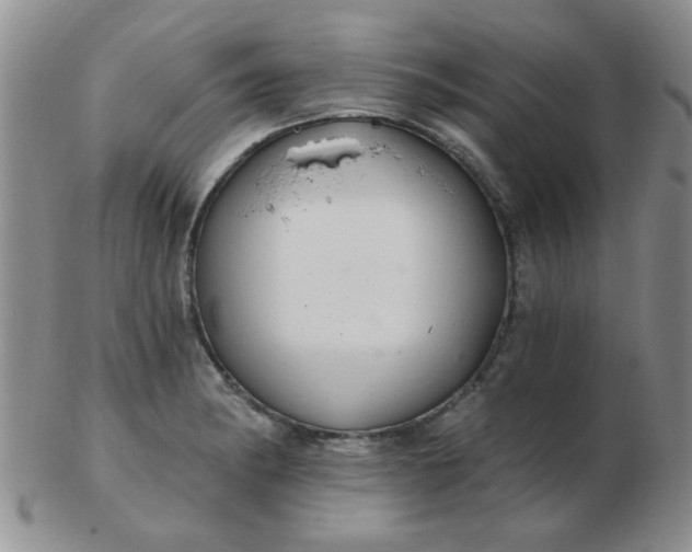 X0000103281182200809121938