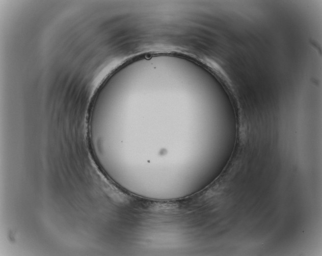 X0000103281183200809121938