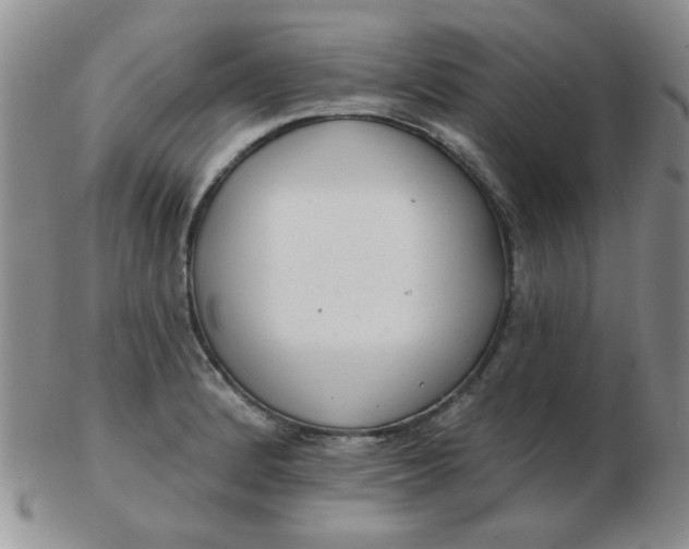 X0000103281184200809121938