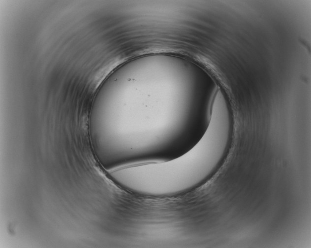 X0000103281185200809121938