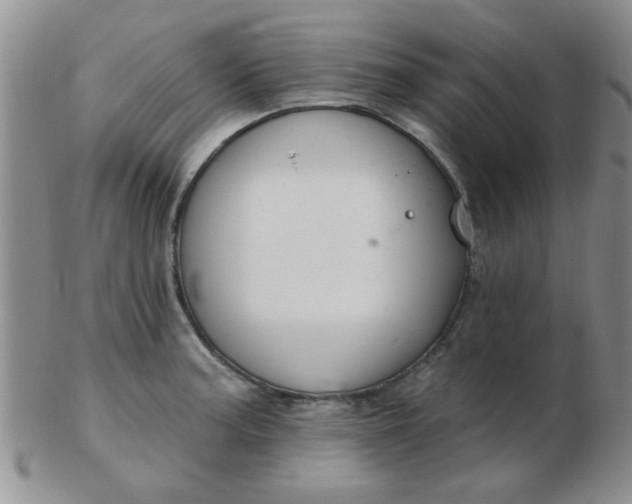 X0000103281187200809121938