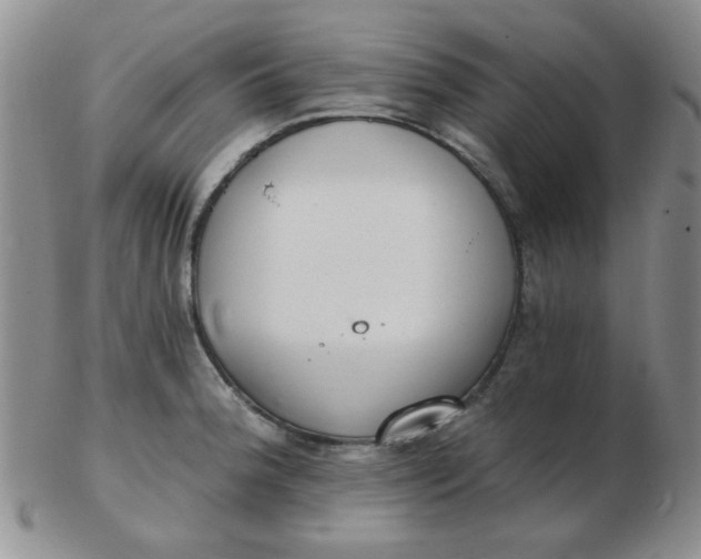 X0000103281188200809121938