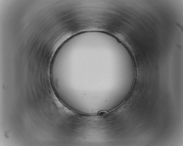 X0000103281189200809121938