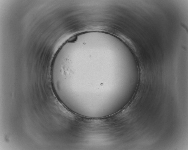 X0000103281192200809121938