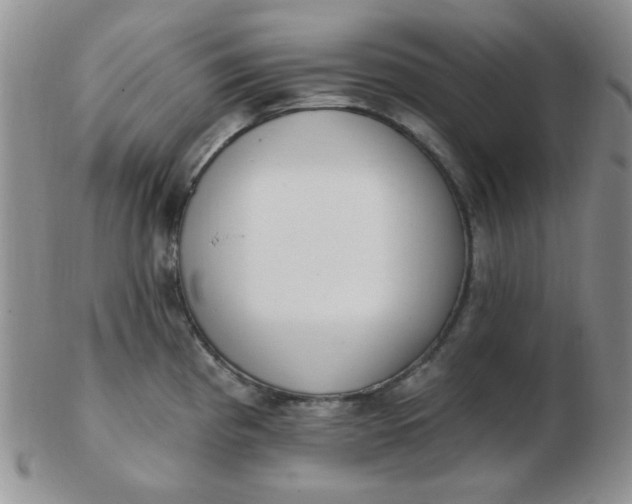 X0000103281193200809121938