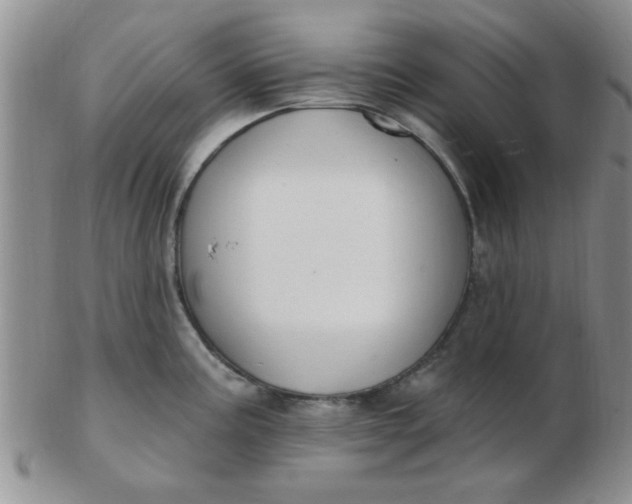 X0000103281195200809121938