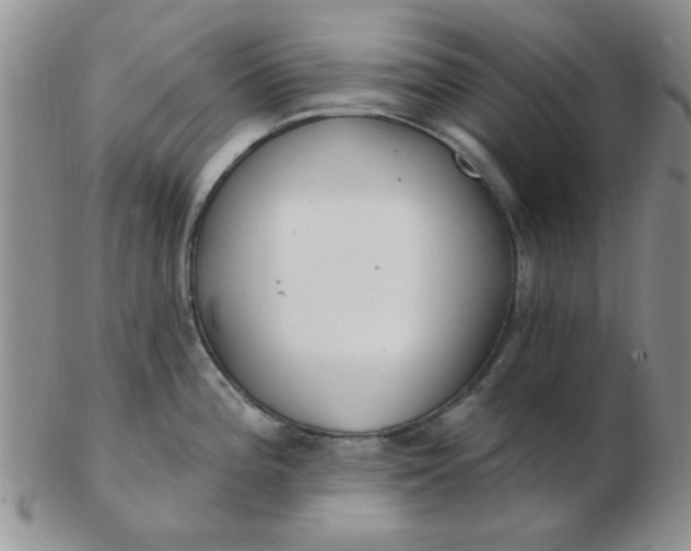 X0000103281196200809121938