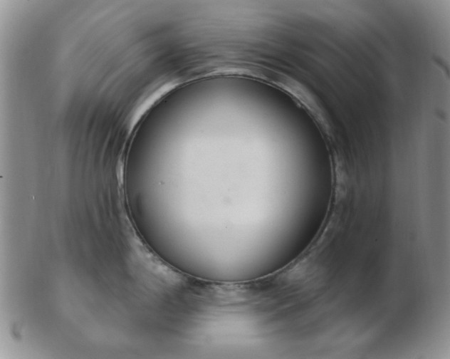 X0000103281198200809121938