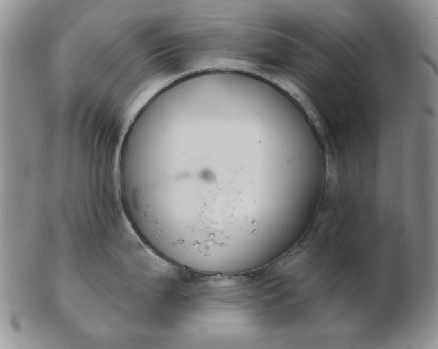 X0000103281199200809121938