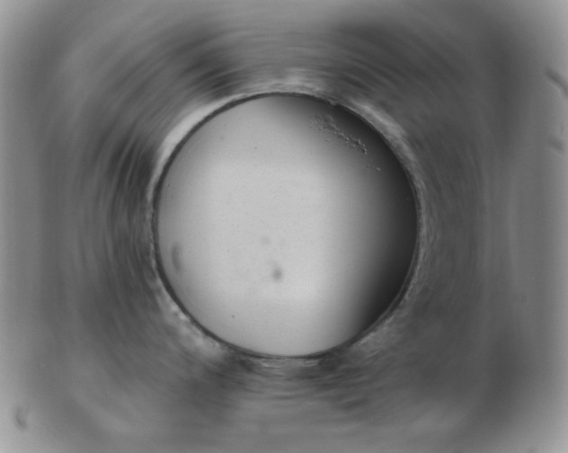 X0000103281200200809121938