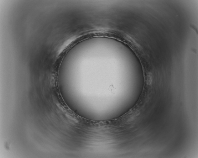 X0000103281208200809121938