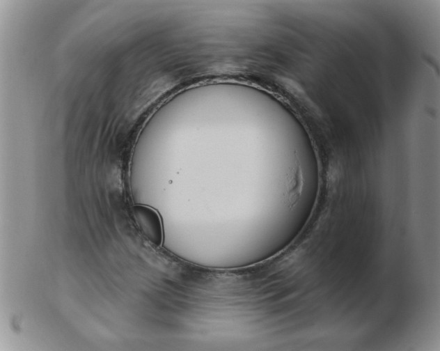 X0000103281209200809121938