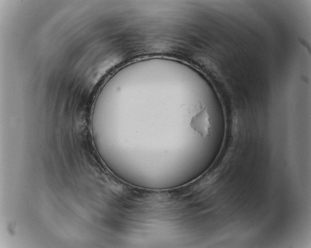 X0000103281210200809121938