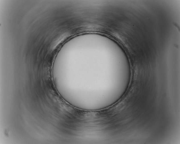 X0000103281211200809121938