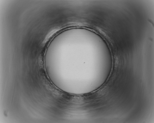 X0000103281215200809121938