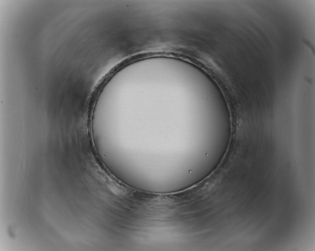 X0000103281216200809121938