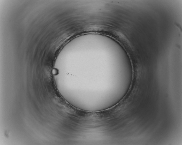 X0000103281217200809121938