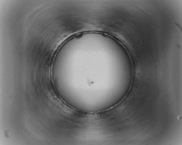 X0000103281220200809121938