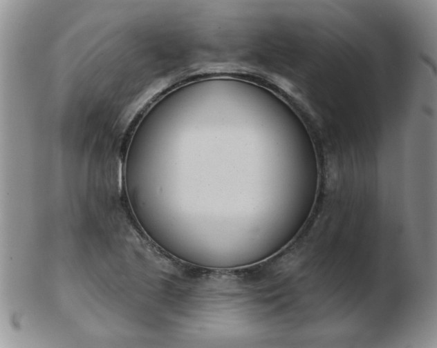 X0000103281221200809121938