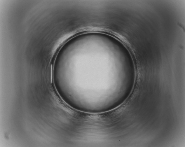 X0000103281223200809121938