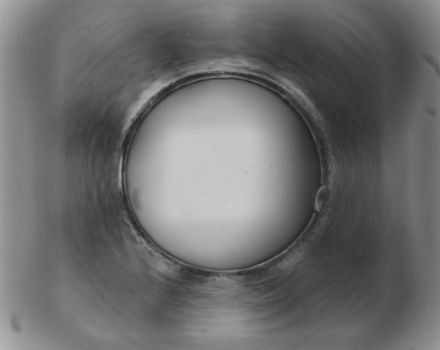 X0000103281224200809121938