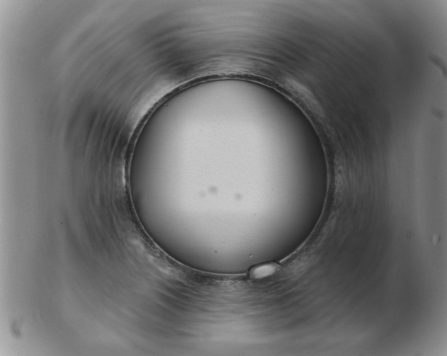 X0000103281226200809121938