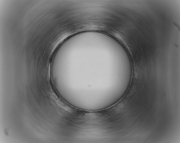 X0000103281227200809121938