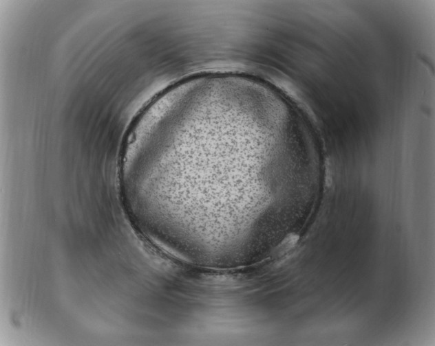 X0000103281229200809121938