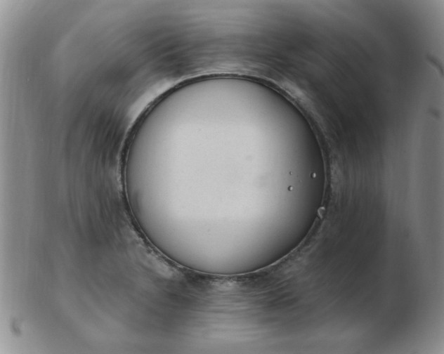 X0000103281230200809121938