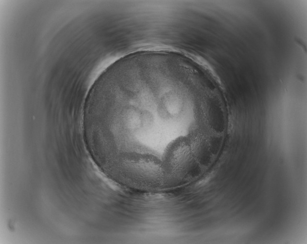 X0000103281231200809121938