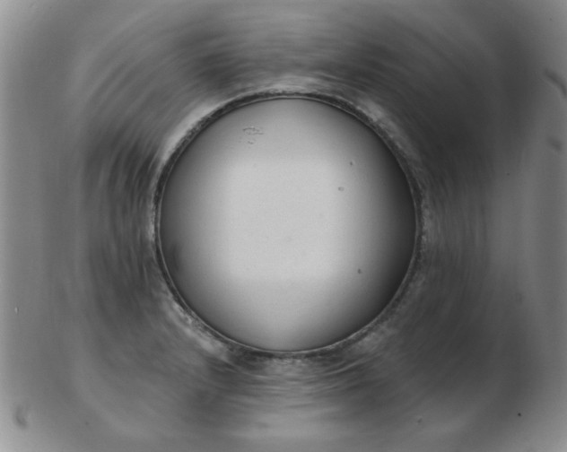 X0000103281232200809121938