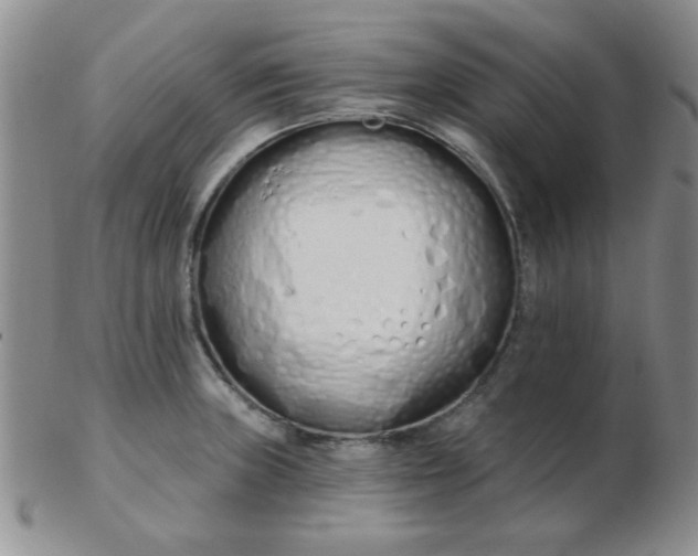 X0000103281235200809121938