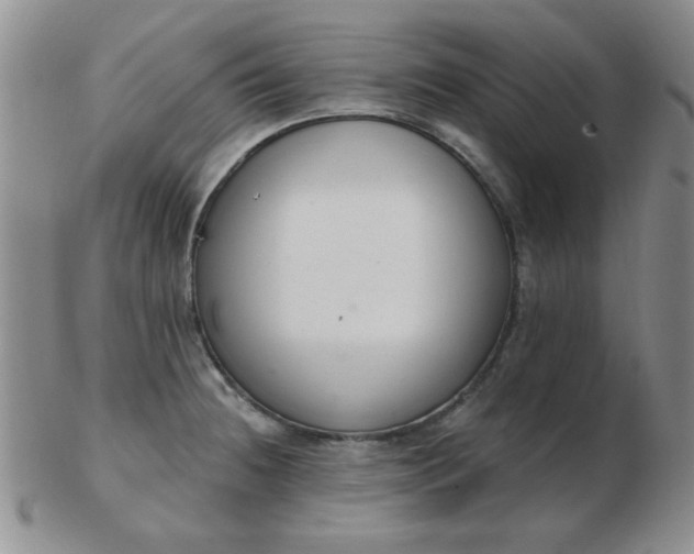 X0000103281236200809121938