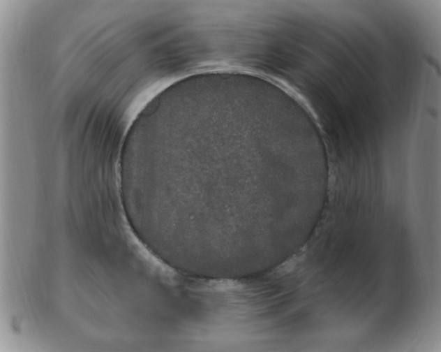 X0000103281239200809121938