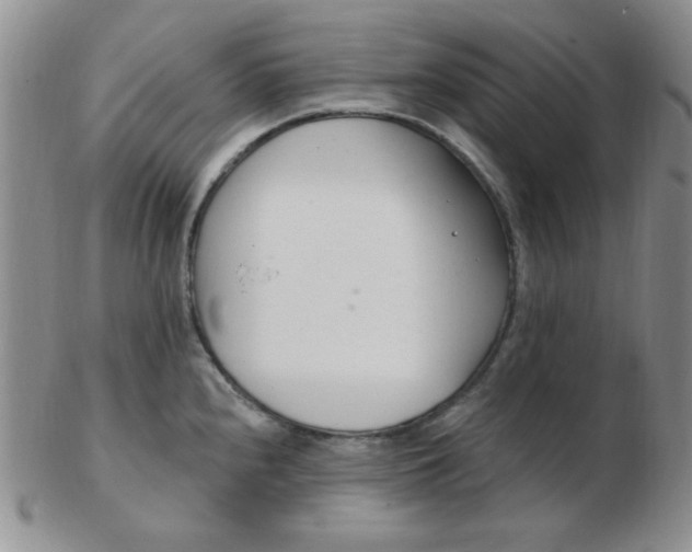 X0000103281240200809121938