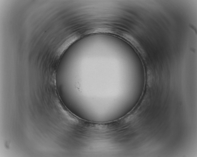 X0000103281241200809121938