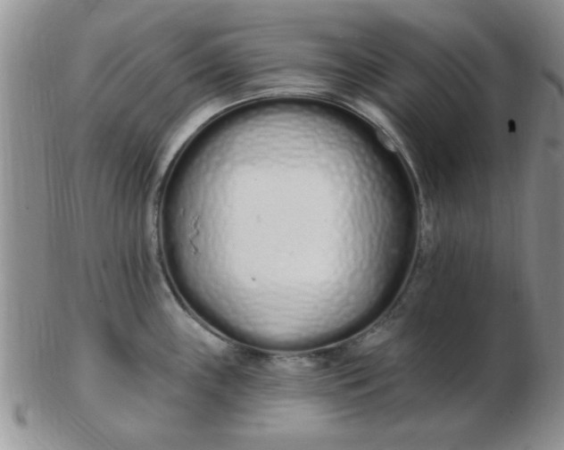 X0000103281243200809121938