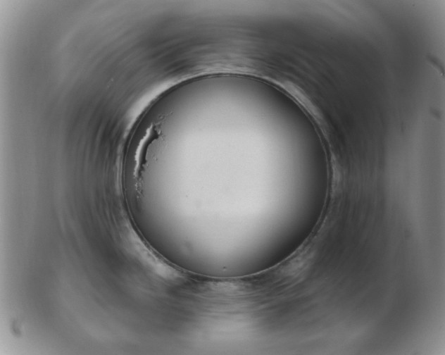 X0000103281246200809121938