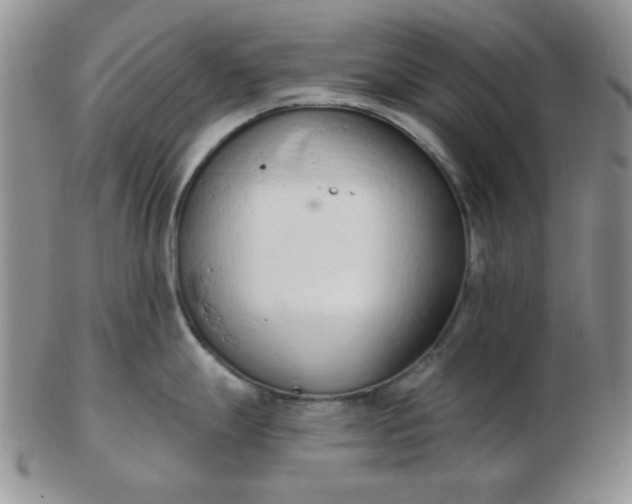 X0000103281247200809121938