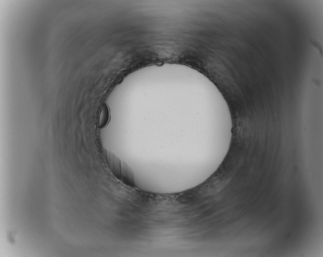 X0000103281249200809121937