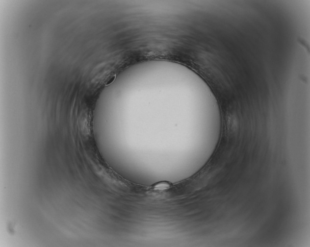 X0000103281250200809121937