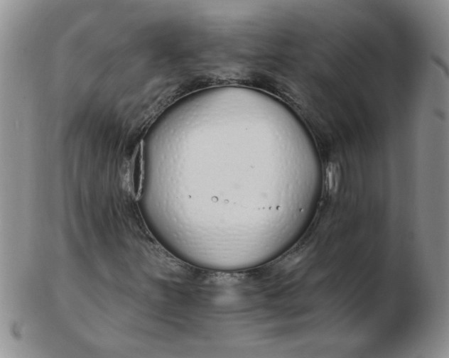 X0000103281251200809121937