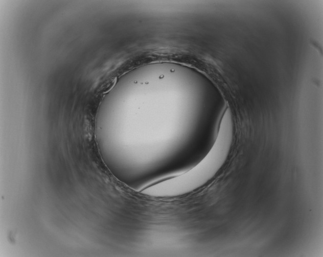 X0000103281253200809121937